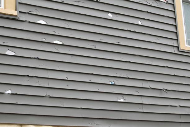 Best Siding for New Construction  in Pass Christian, MS